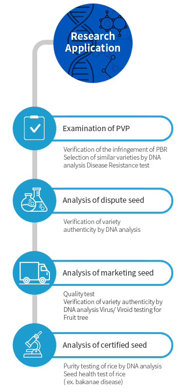Research Application Examination of PVP - Verification of the infringement of PBR Selection of similar varieties by DNA analysis Disease Resistance test, Analysis of dispute seed - Verification of variety authenticity by DNA analysis, Analysis of marketing seed - Quality test Verification of variety authenticity by DNA analysis Virus/Viroid testing for Fruit tree, Analysis of certified seed - Purity testing of rice by DNA analysis Seed health test of rice(ex. bakanae disease)